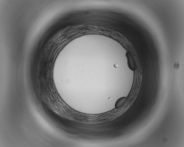 X0000114140766200911051421