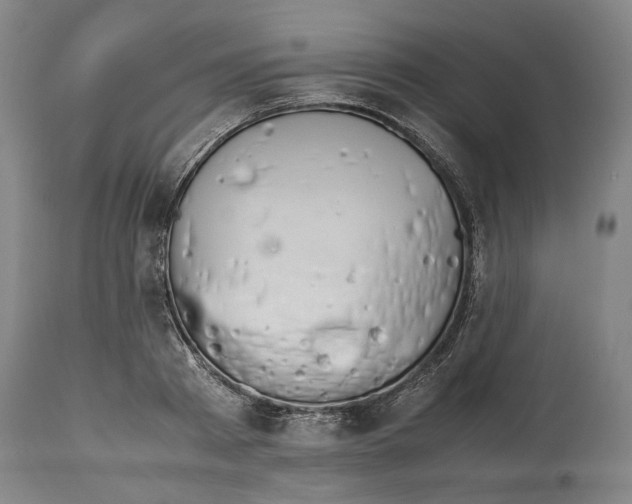 X0000114140793200911051420