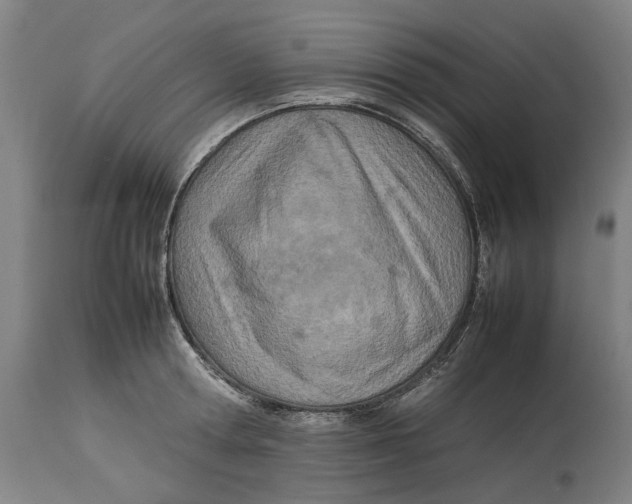 X0000114140802200911051419