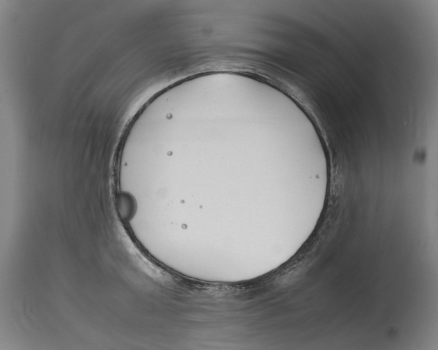 X0000114140803200911051419