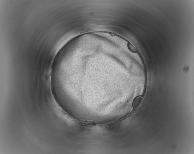 X0000114140814200911051419