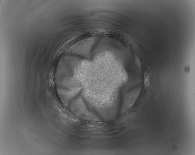 X0000114140819200911051419