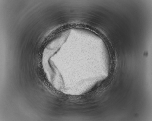 X0000114140823200911051419