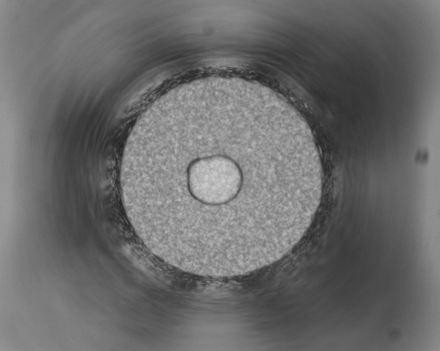 X0000114140824200911051419