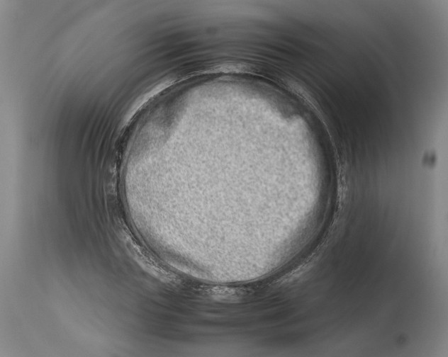 X0000114140827200911051419