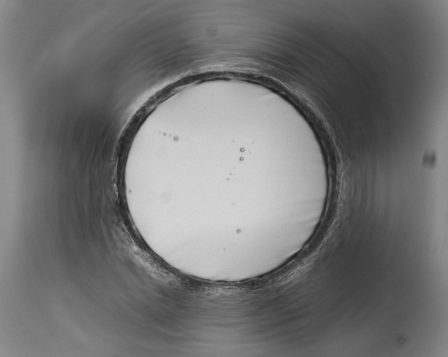 X0000114140830200911051419