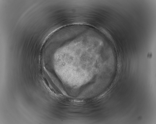 X0000114140831200911051419