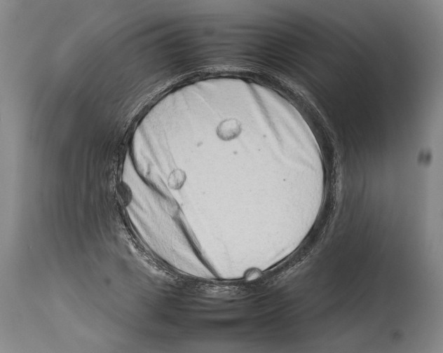 X0000114140833200911051419