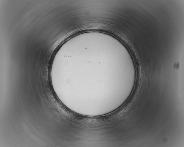 X0000114140834200911051419