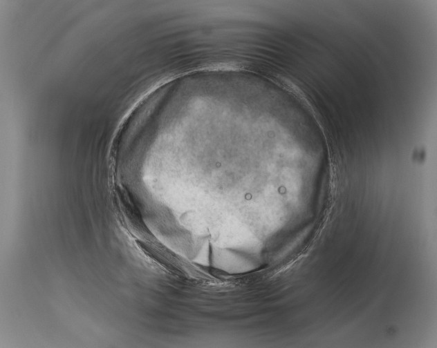 X0000114140835200911051419