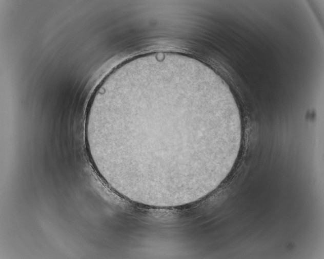 X0000114140836200911051419