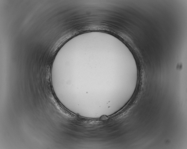 X0000114140841200911051419