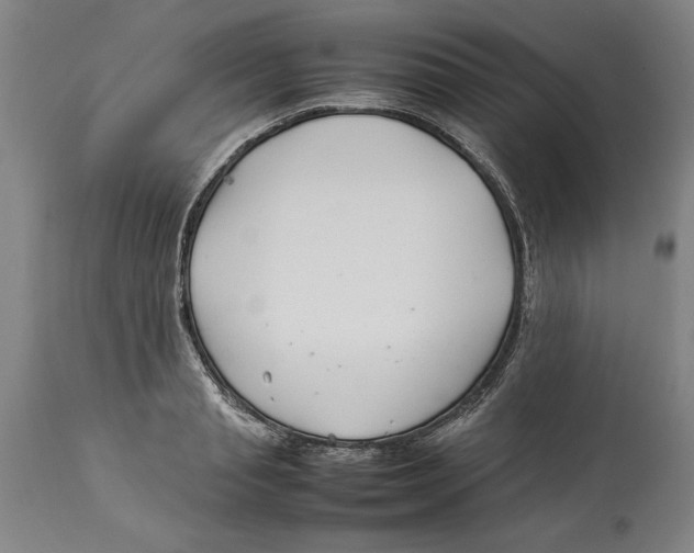 X0000114140845200911051419