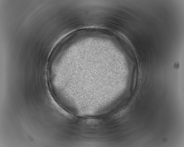 X0000114140847200911051419