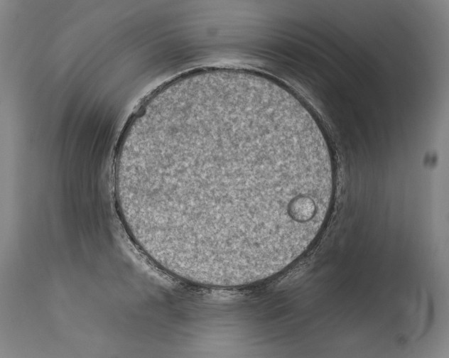 X0000114140848200911051419