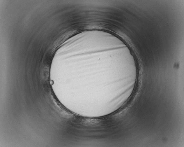 X0000114140849200911051419