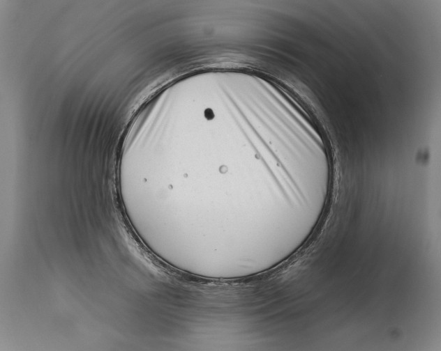 X0000114140850200911051419