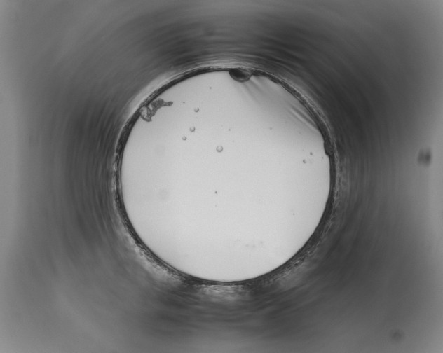 X0000114140853200911051419