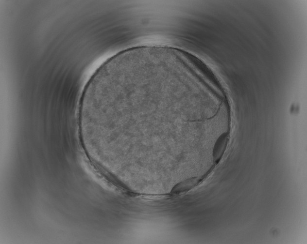 X0000114140864200911051419