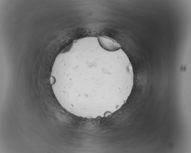 X0000114140865200911051419