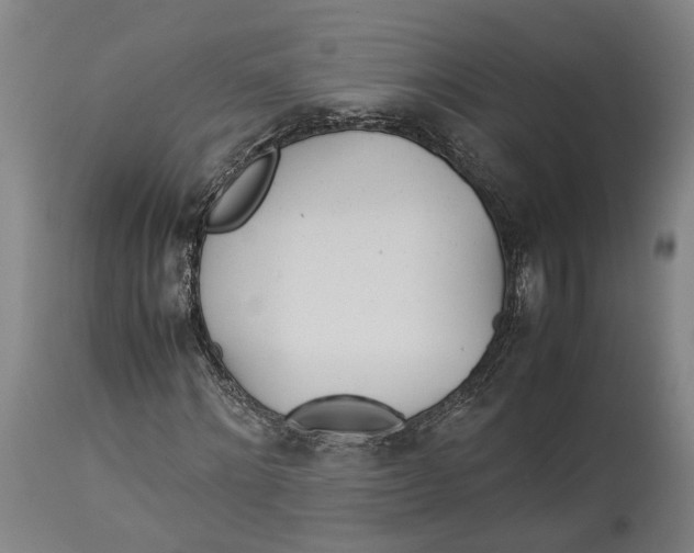 X0000114140868200911051419