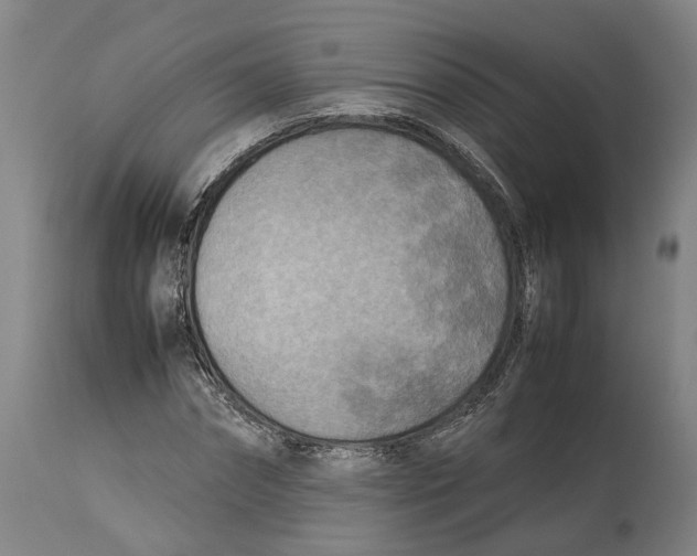 X0000114140874200911051418