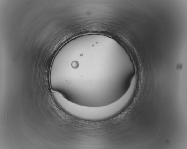 X0000114140881200911051418