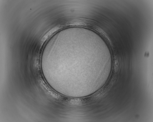 X0000114140882200911051418