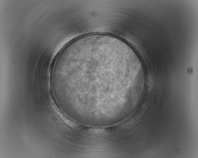 X0000114140886200911051418