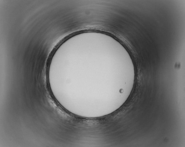 X0000114140888200911051418