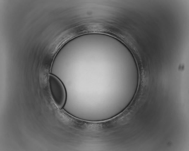 X0000114140889200911051418