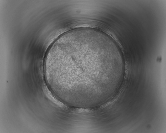 X0000114140890200911051418