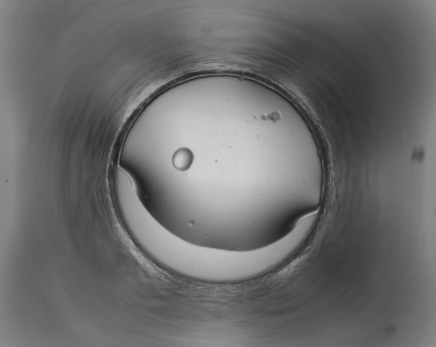 X0000114140893200911051418