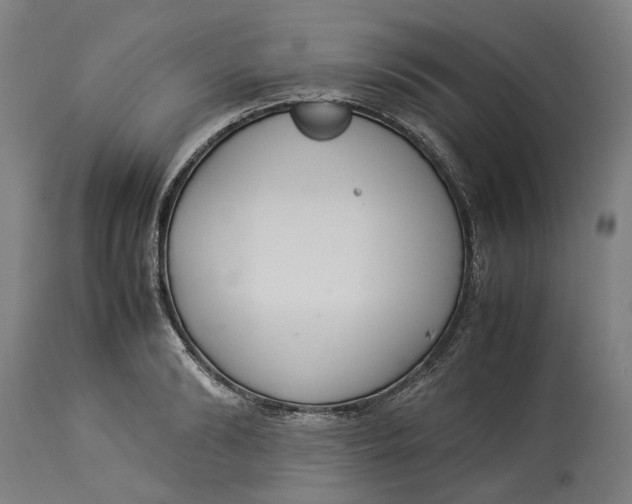 X0000114140894200911051418