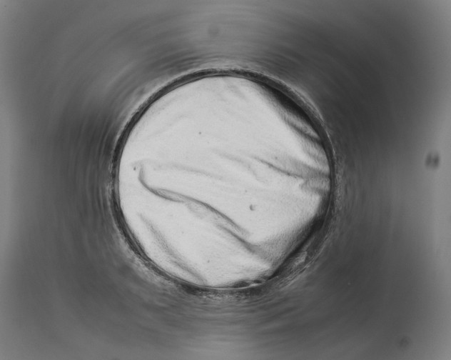 X0000114140895200911051418