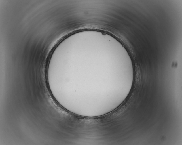 X0000114140896200911051418