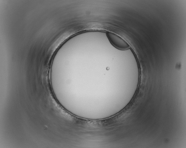 X0000114140901200911051418