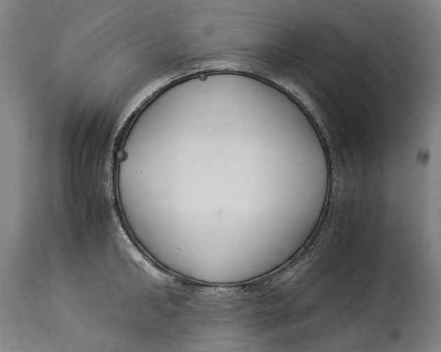 X0000114140902200911051418