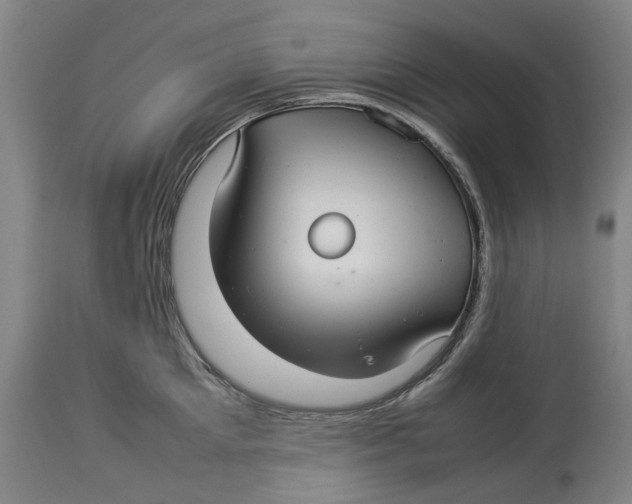 X0000114140905200911051418