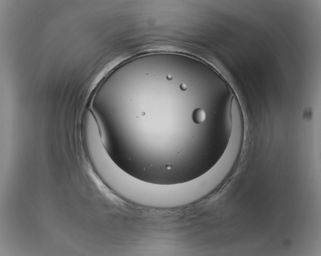 X0000114140909200911051418