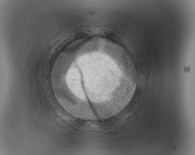 X0000114140913200911051417