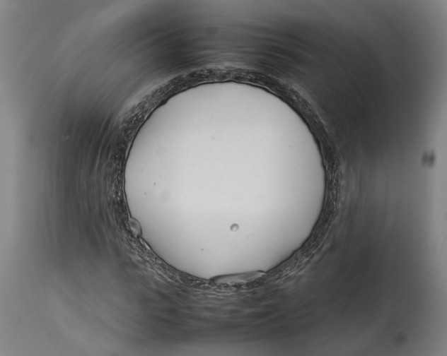 X0000114140919200911051417