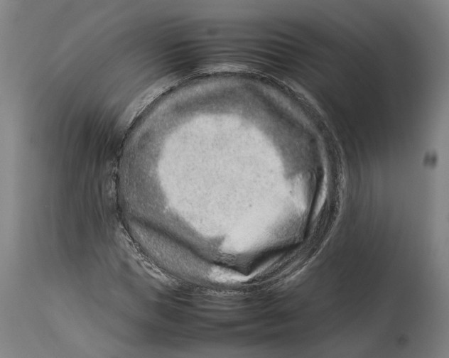 X0000114140921200911051417