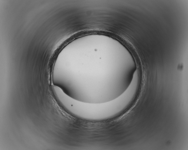 X0000114140925200911051417