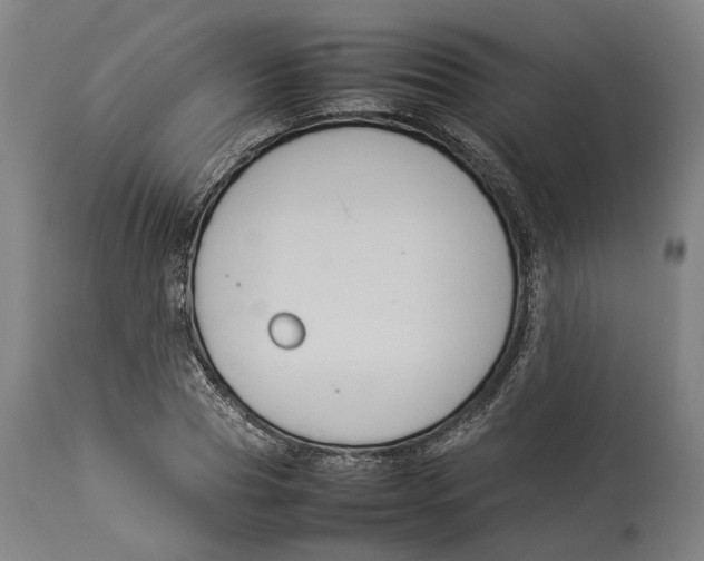 X0000114140929200911051418