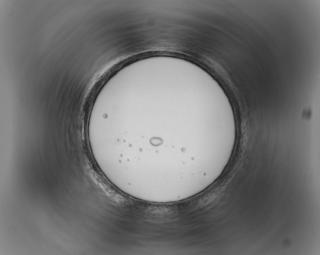 X0000114140931200911051418