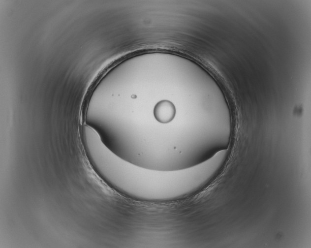 X0000114140940200911051418