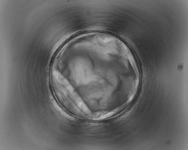 X0000114140941200911051418