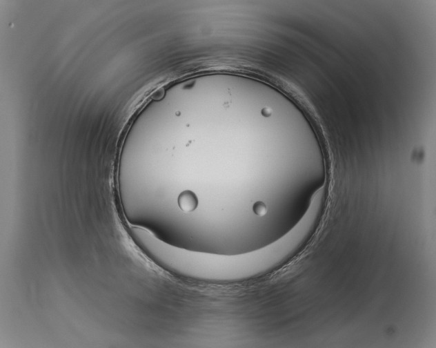 X0000114140946200911051418