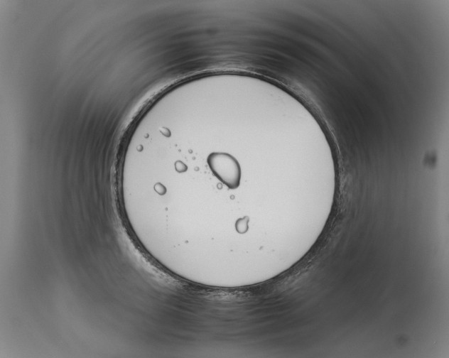 X0000114140947200911051418